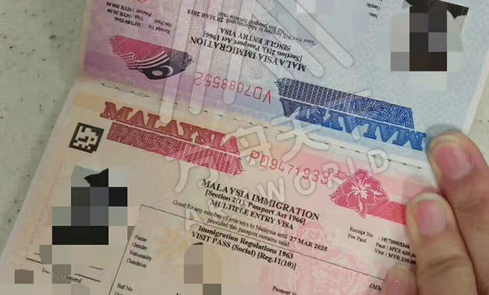 恭喜A女士成功获得马来西亚签证